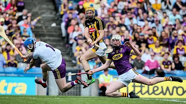 Wexford fight their way to victory over Kilkenny and first Leinster senior title in 15 years