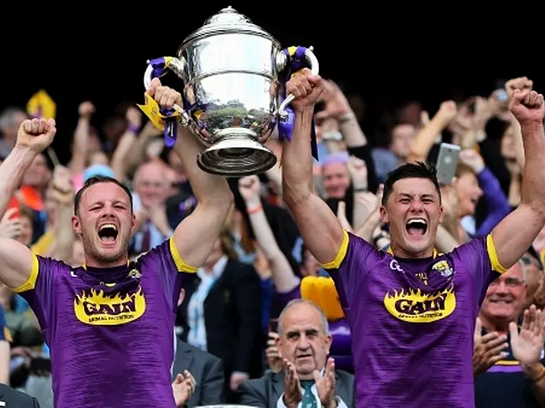 Wexford Hurlers Scoop June South East Sports Star Award