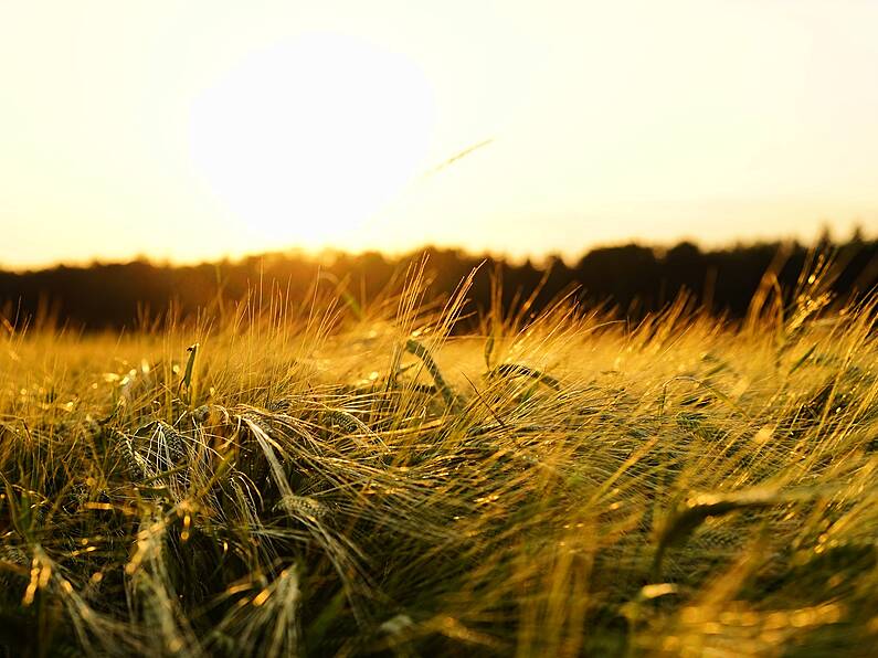 Summer might finally arrive with temperatures expected rise