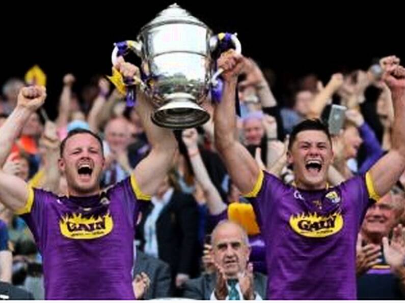 Wexford fight their way to victory over Kilkenny and first Leinster senior title in 15 years