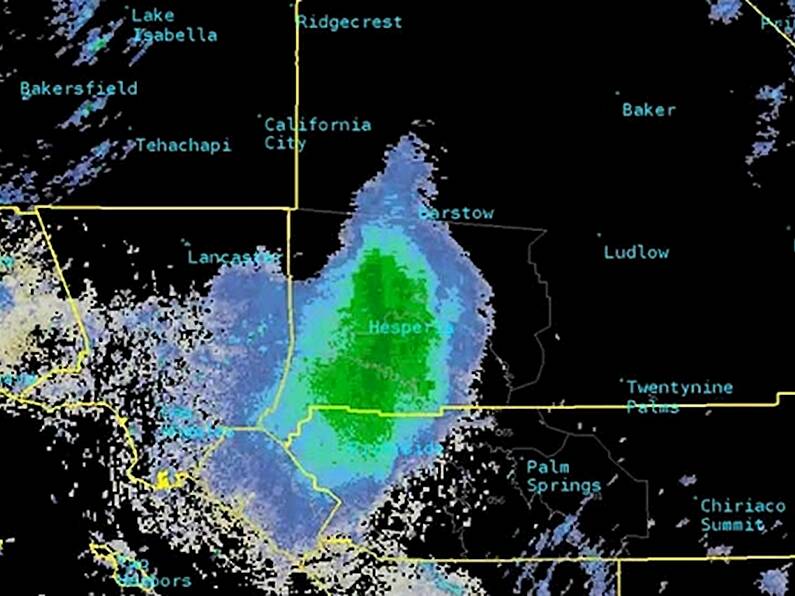 Ladybird 'bloom' over California is so big it is picked up by weather radar