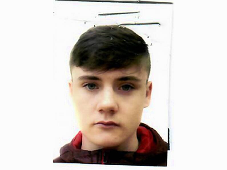 Gardaí ask for help to find boy missing for over a week