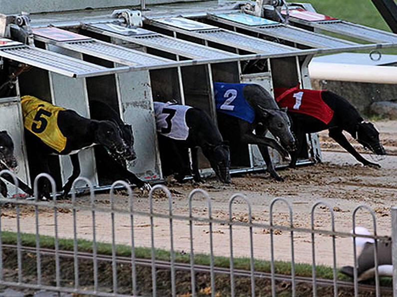 Greyhound suffers heart attack and dies after race at Shelbourne Park stadium