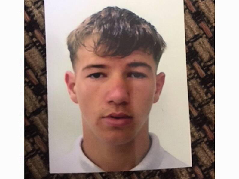 Gardaí appeal for help to find teenage boy missing for 11 days