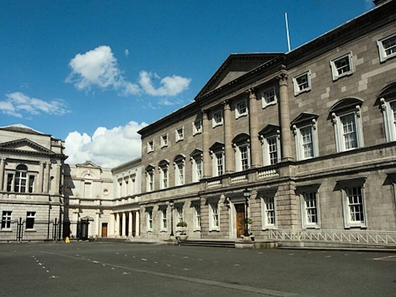 Dáil bars remain closed as hunt for rat continues