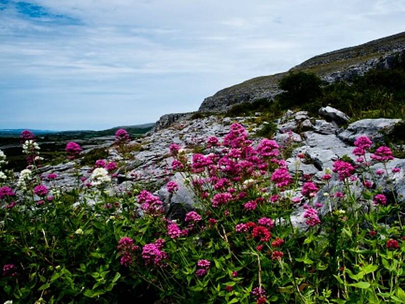 Luxury travel magazine cites Galway and Clare as Ireland's most exciting foodie destinations