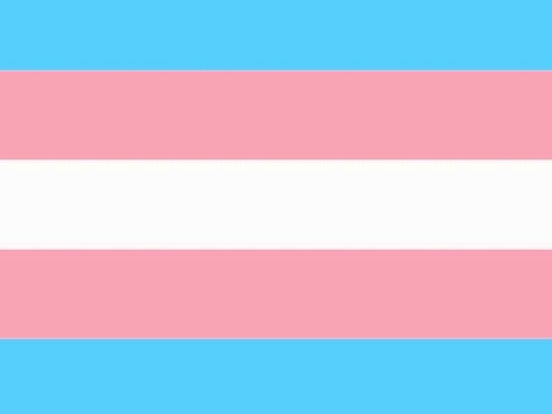 Second Transgender Pride rally to take place in Dublin today