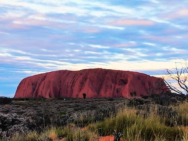 Outrage as 'processional caterpillars' flock to scale Ayers Rock before ban