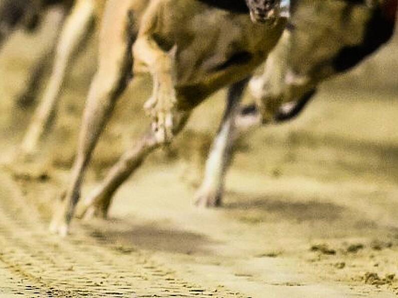 Greyhound Board withdraws financial support from Rose of Tralee after 'malicious threats'