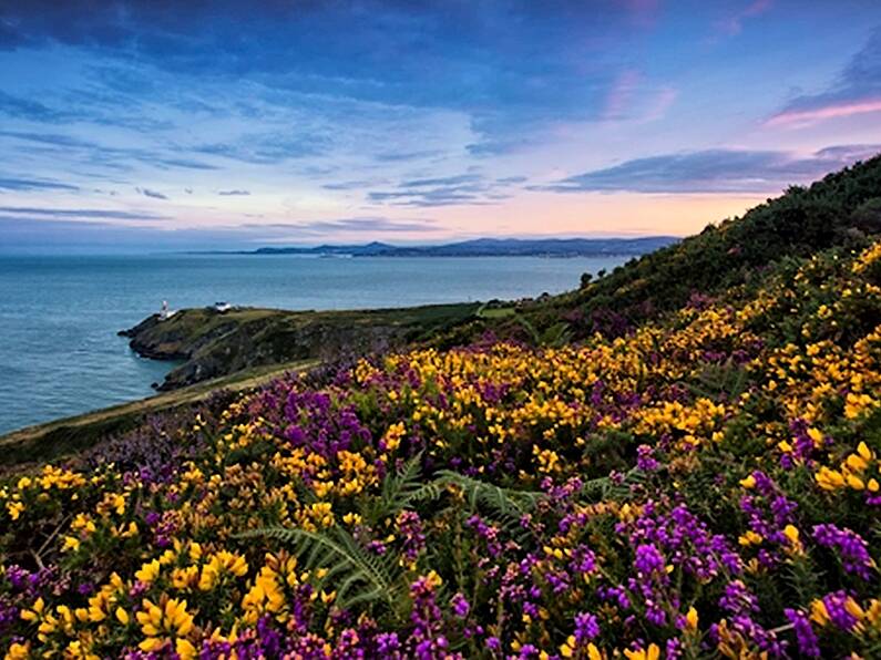 Howth trail listed as one of the world's most thrilling running routes