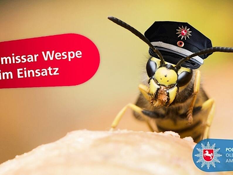 Angry wasps help German police catch fugitive in 'sting' operation