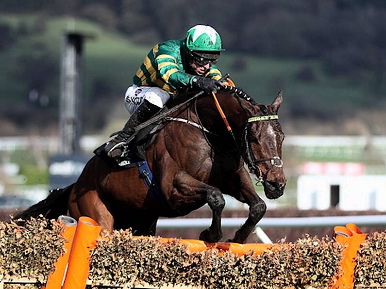 Champion Hurdle hero Espoir D’Allen set to miss title defence