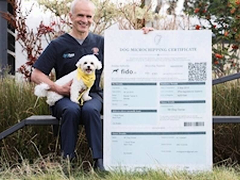 Dogs Trust is offering free dog Microchipping Certificate Amnesty this week