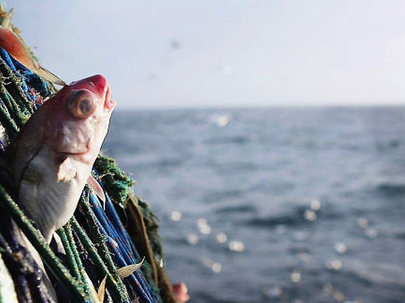 French fishing boat detained off Cork coast