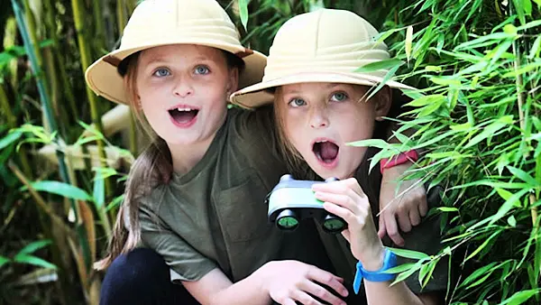 Tayto Park is offering free entry to twins this weekend