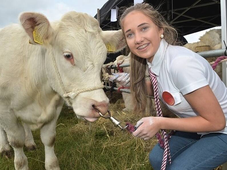 'Toxicity' of relationship between meat industry and farmers must end, says Creed