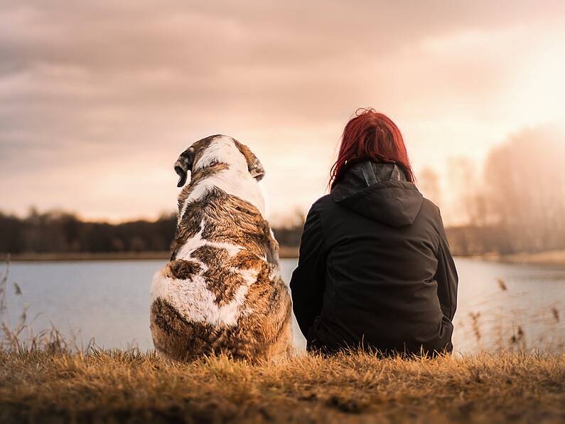 Having a pet is more likely to make you happy than being in a relationship