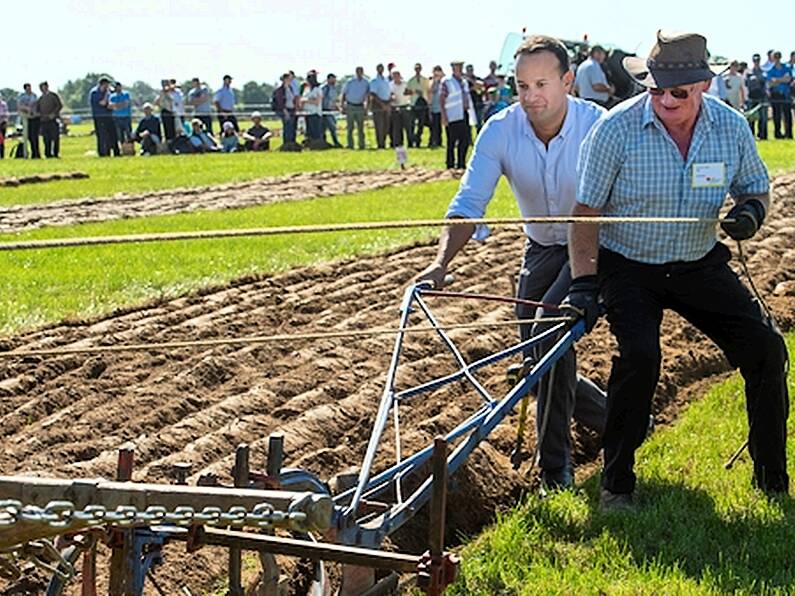 The National Ploughing Championships to be held in Carlow again next year