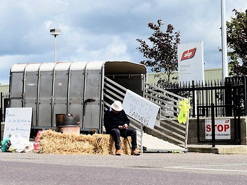 Meat Industry Ireland say beef price cannot be negotiated