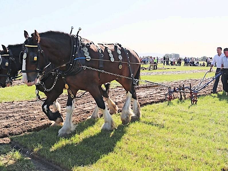 2019 Ploughing is the best-attended championships since they began in 1931