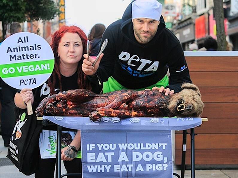 Animal rights activists barbecue fake dog to persuade Dublin shoppers to go vegan