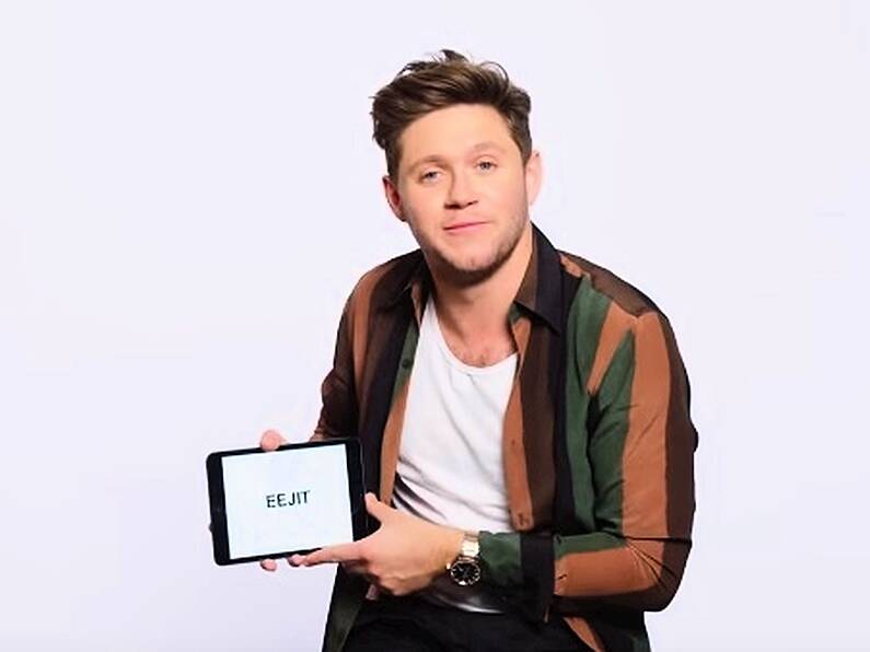 Watch as Niall Horan explains the words 'sham', 'banjaxed' and 'gammy'