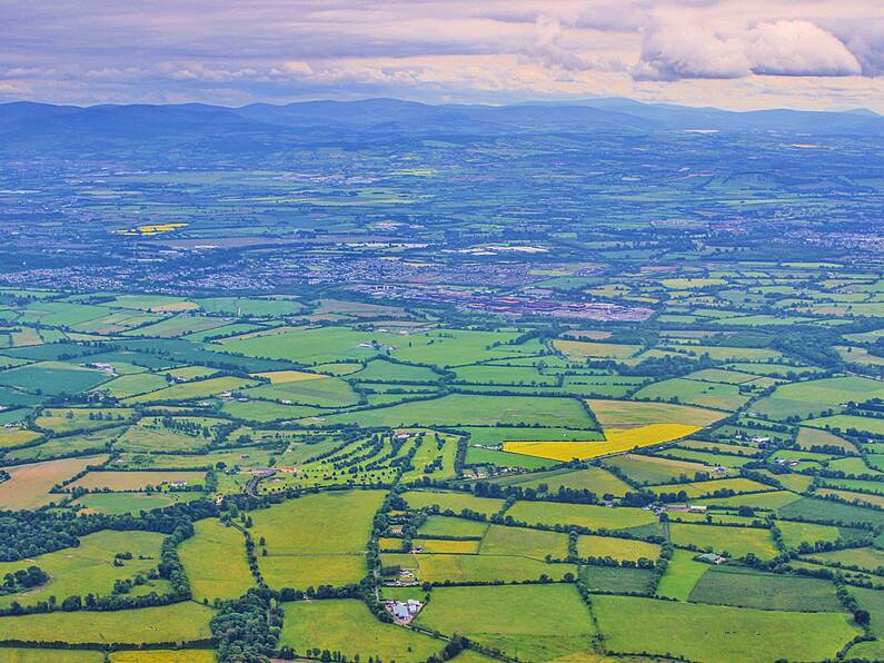 Nominees Announced for next Irish Farmer's Association Presidency