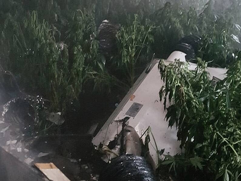 Suspected cannabis grow house discovered after fire at Tipperary house