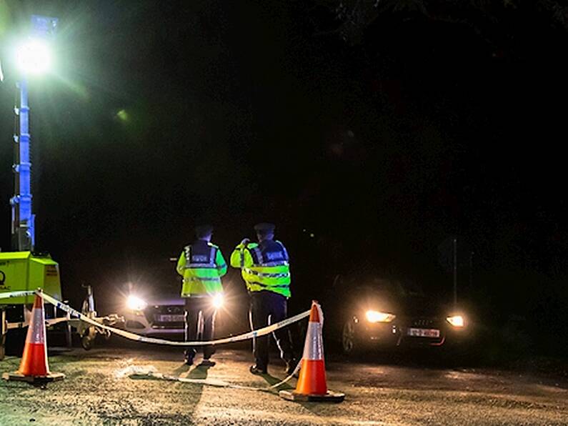 Witnesses said 'plane disintegrated in the air': Report into fatal Wexford plane crash