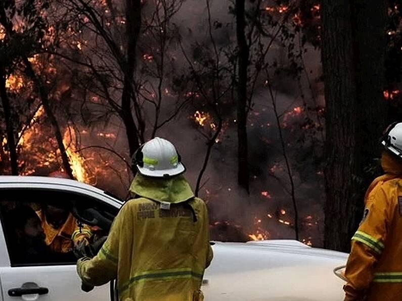 Sydney fireworks display to go ahead amid wildfires risk