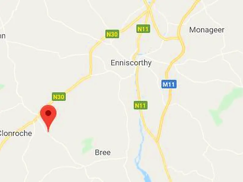 A woman in her 80s has died in a house fire in County Wexford