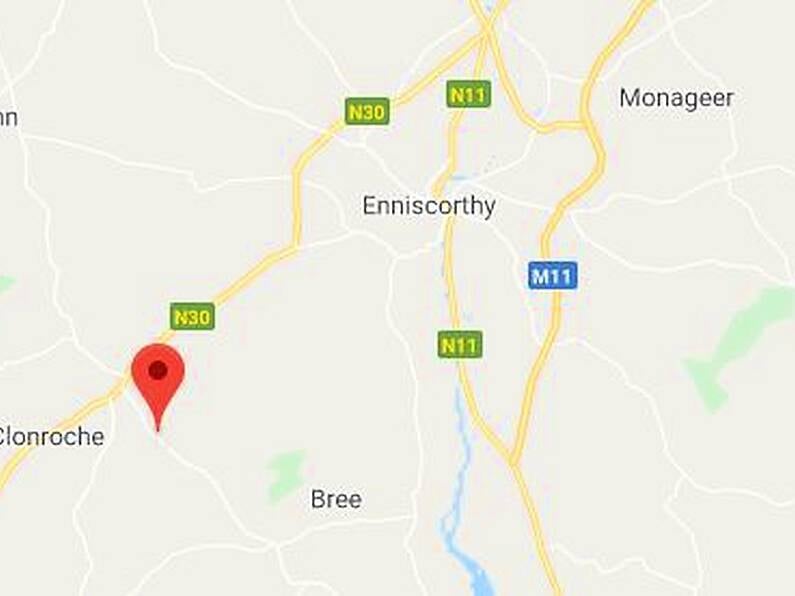 A woman in her 80s has died in a house fire in County Wexford