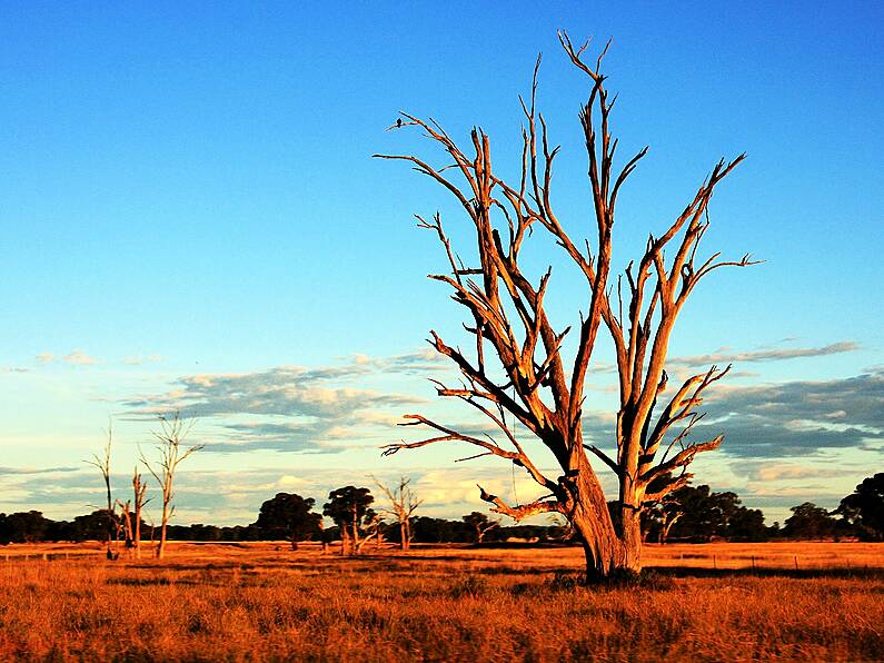 Police find body of third person lost in Australian outback