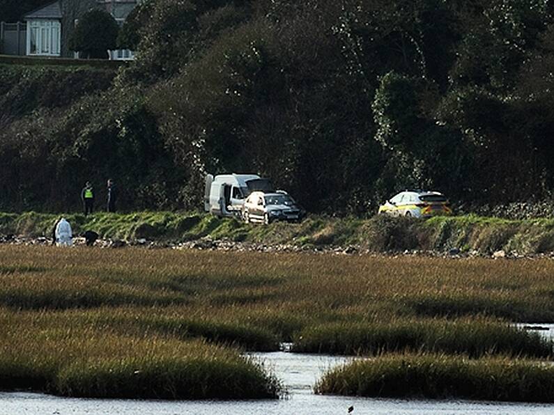 Man's body found in Co. Louth