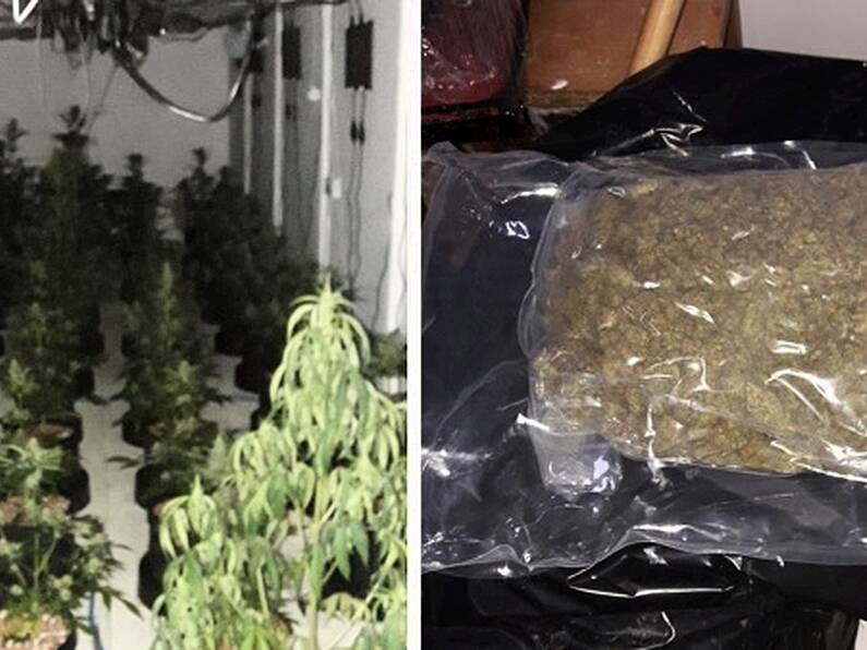 Man arrested as gardaí seize €100k worth of cannabis in Co Monaghan