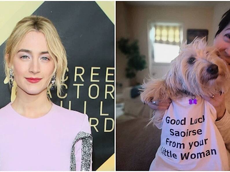 Watch: Saoirse Ronan's mam and dog adorably celebrate her fourth Oscar nomination