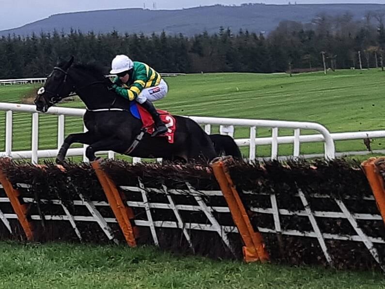 Four Gold Cup entries in Gowan Park feature