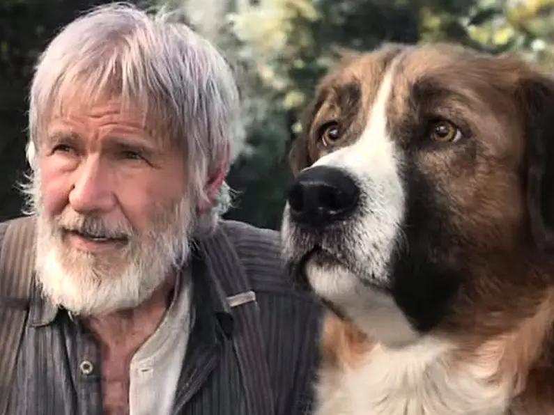 Friday Flicks: This Week's Movie Releases