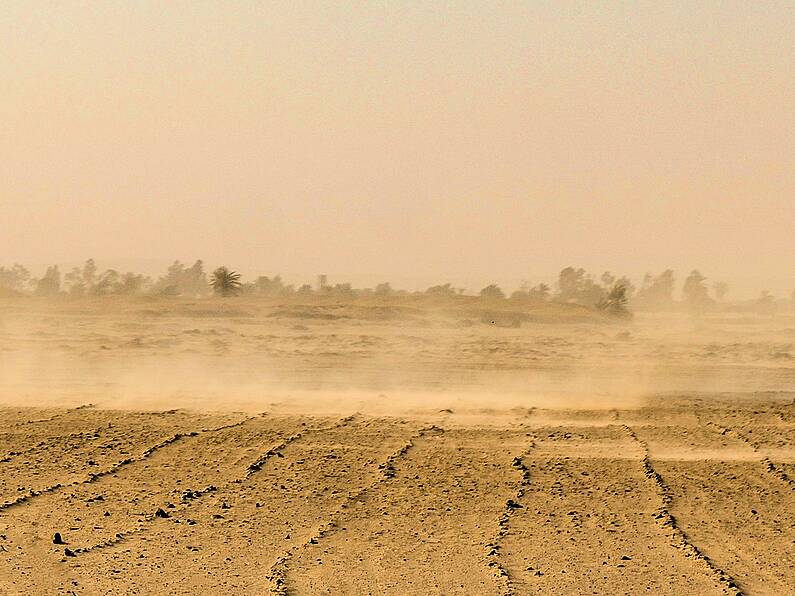 Sandstorm in the Canary Islands impacting Irish flights today