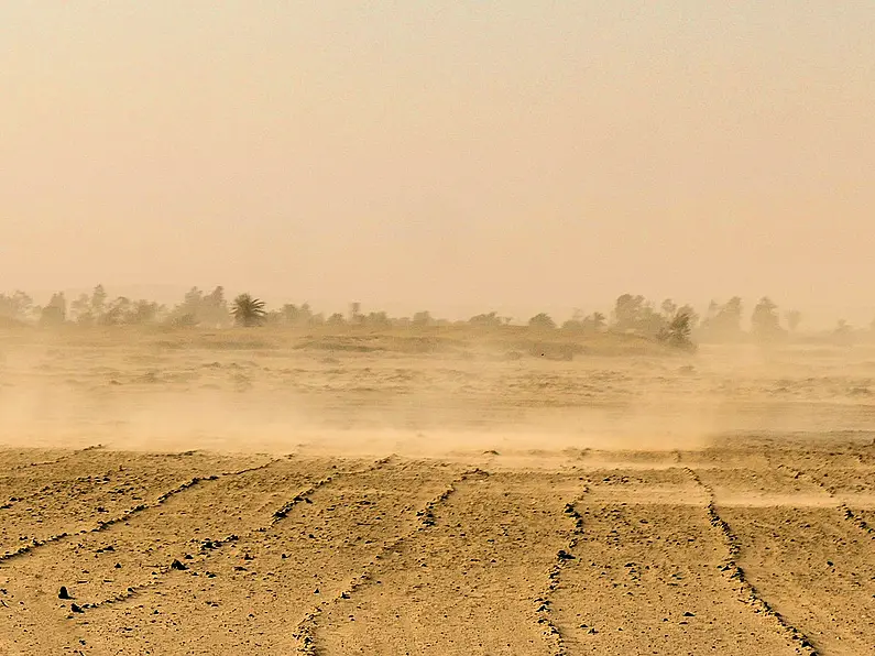 Sandstorm in the Canary Islands impacting Irish flights today