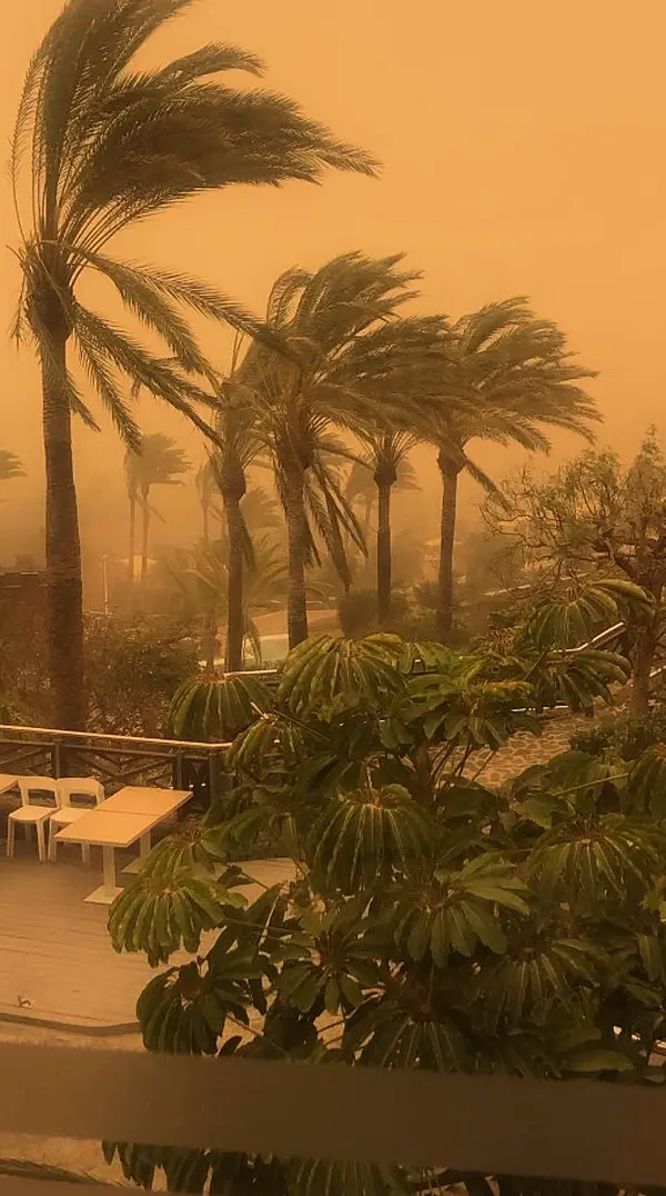 Holidaymakers advised to check flights as Saharan sandstorm hits Canary Islands