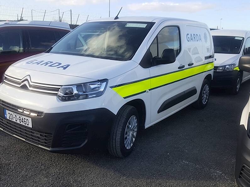 Videos circulating online show teenager breaking out of Garda van