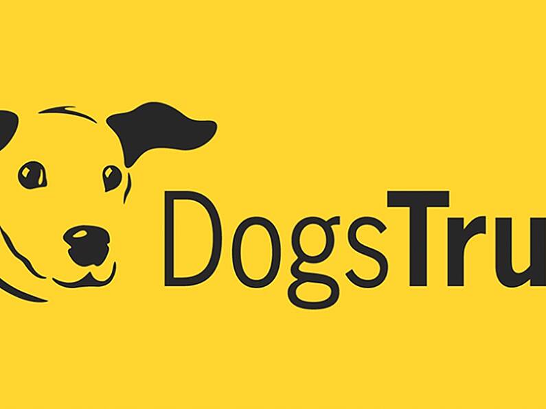 Dogs Trust received 235 requests from people looking to return a pet after Christmas