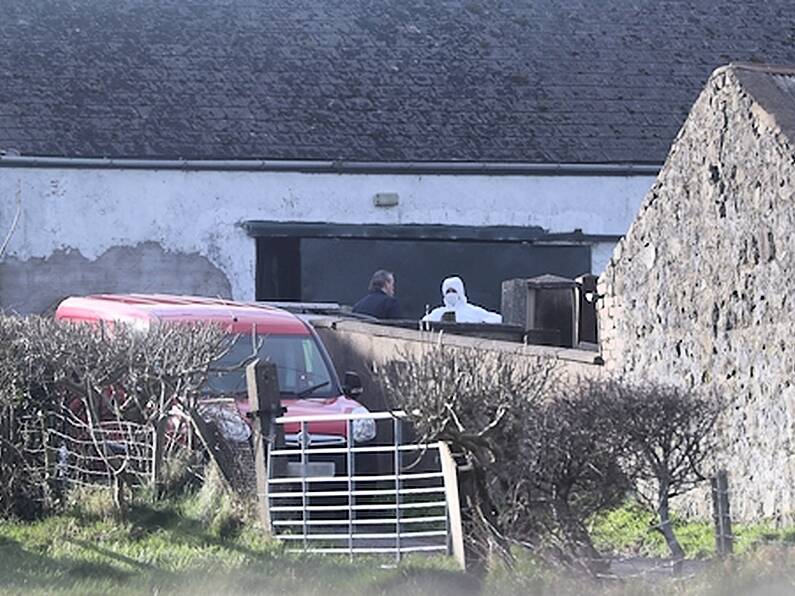 Police investigating toddler's death in Antrim farmhouse not looking for anyone else