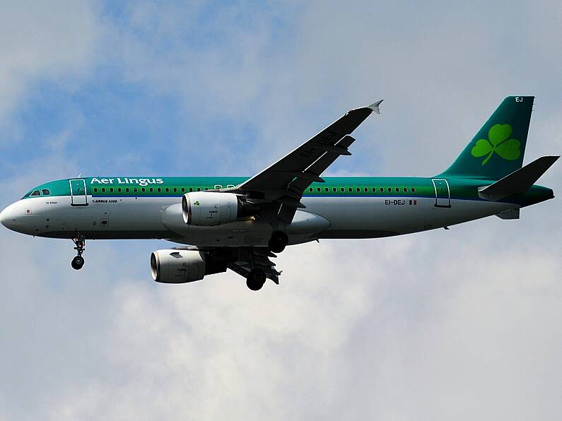 Aer Lingus passenger who made staff 'cry' over Coronavirus lie jailed