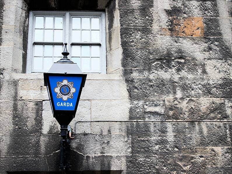 Gardaí investigating an alleged assault of two men in Carlow