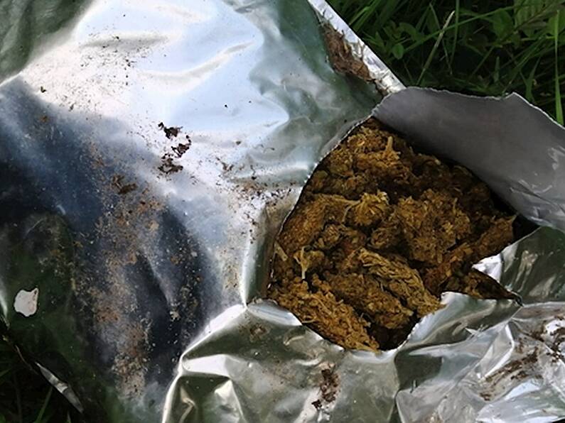 Gardaí find cannabis worth €1.24m in ditch on Carlow border