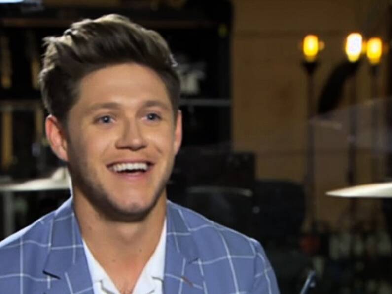 Niall Horan donates €100k to Alone