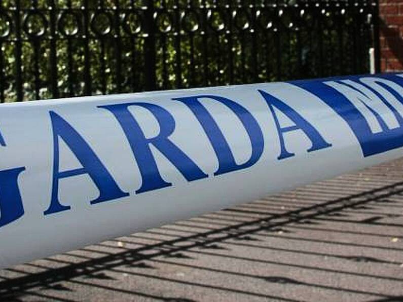 Gardaí investigate partial skeletal remains find