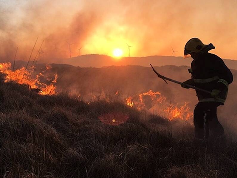 Orange forest fire and yellow wind warnings issued